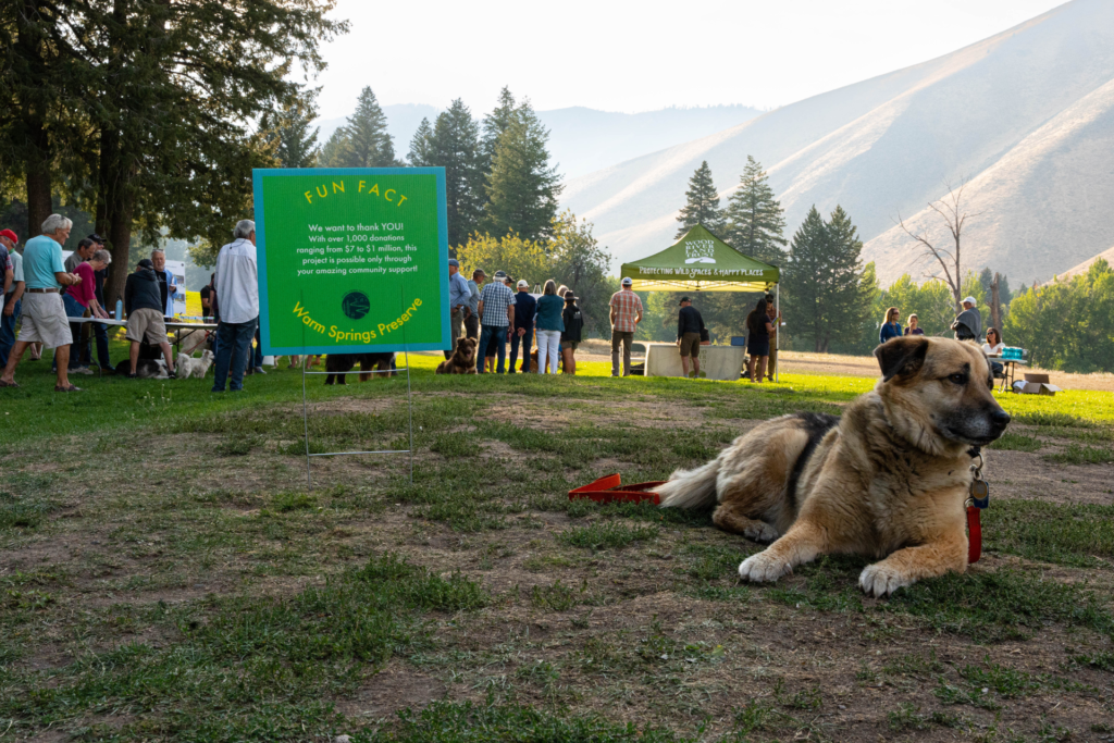 A dog attends the Warm Springs Community event in Ketchum, Idaho
