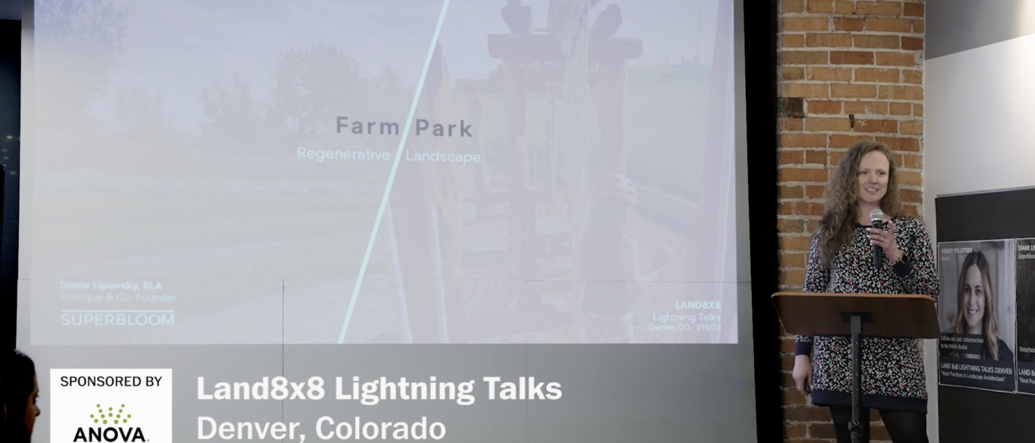 Diane Lipovsky speaks at Land8x8 Lighting Talks